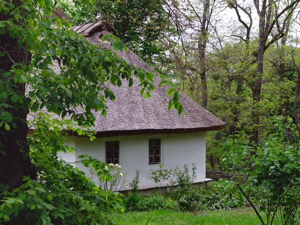 Stary Dom Krytym Strzechą Dachem Wśród Drzew Ciesz Się Ciepłym — Zdjęcie stockowe