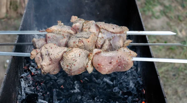 Carne Parrilla Cocinar Sobre Carbón Vegetal Sabrosa Comida Callejera Cerca —  Fotos de Stock