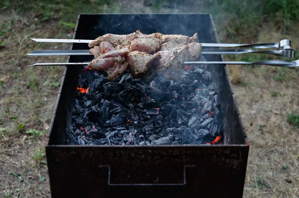 Carne Parrilla Cocinar Sobre Carbón Vegetal Sabrosa Comida Callejera Cerca — Foto de Stock