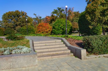 Sıcak sonbahar öğleden sonrasında sarı ağaçlara çıkan merdiven. Güzel sonbahar manzarası.