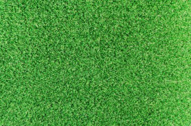 Petunya bahçede açar, sıcak bir günde güzel çiçekler, yakın plan.