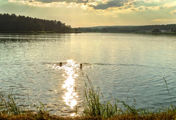 sunset, evening reflection of the sun in the water, beautiful summer landscape