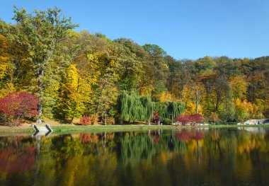 Parlak manzara, sudaki bir ağacın sarı ve kırmızı yapraklarının yansıması ve mavi bir gökyüzü.