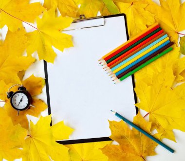 Sarı yapraklı arka plan üzerine çizimler ve kalemler için defter, yakın plan