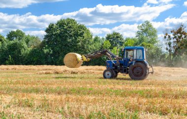 Yuvarlak balyalarda saman, tarlada traktör, yaz günü tarım işi.