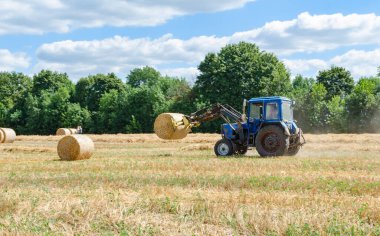 Yuvarlak balyalarda saman, tarlada traktör, yaz günü tarım işi.