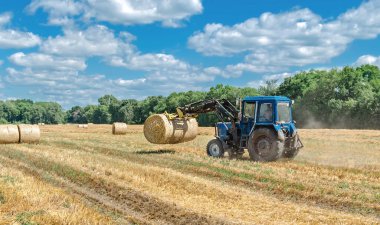 Yuvarlak balyalarda saman, tarlada traktör, yaz günü tarım işi.