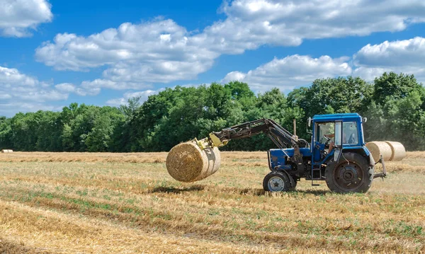 Yuvarlak balyalarda saman, tarlada traktör, yaz günü tarım işi.