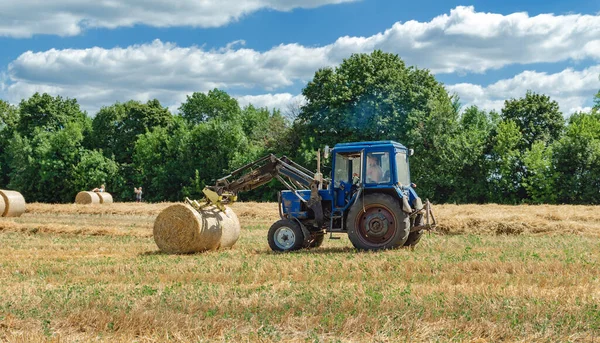 Yuvarlak balyalarda saman, tarlada traktör, yaz günü tarım işi.