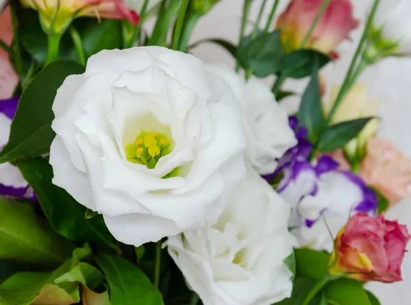 eustoma natural bright flower in a bouquet, a gift for the holiday on the table, close-up