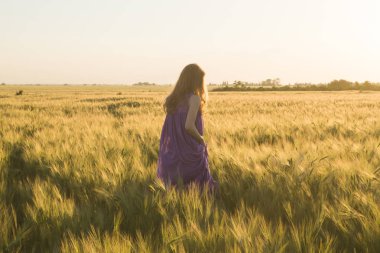 Yaz buğday alanları durinf gün batımı yürüyen genç güzel kadın