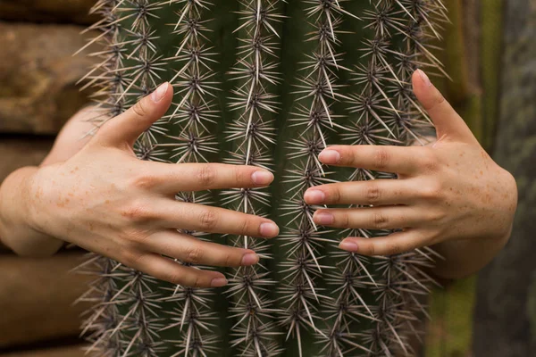 Kadar yakın büyük kaktüs ve üzerinde el