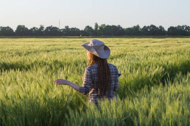 Tablet ellerde ile çiftçi iş genç kadın buğday alanları