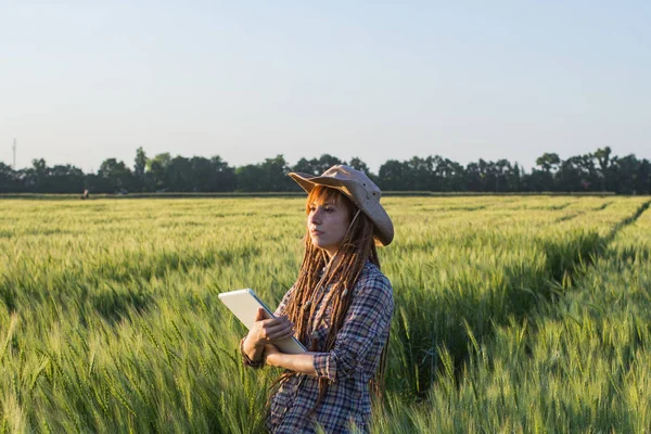 Tablet ellerde ile çiftçi iş genç kadın buğday alanları