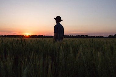 Genç erkek çiftçi stand yalnız buğday alanında günbatımı sırasında 