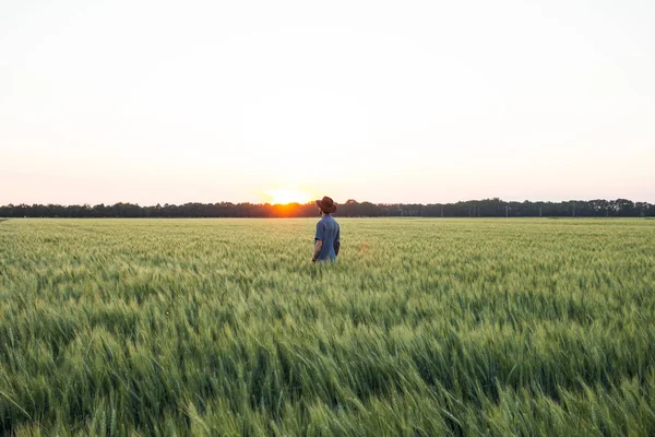 Young Agriculteur Mâle Autonome Dans Champ Blé Pendant Coucher Soleil — Photo