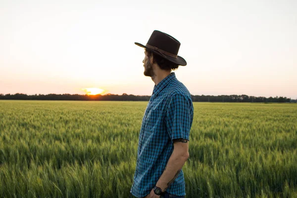 YOung male farmer stand alone in wheat field during sunset