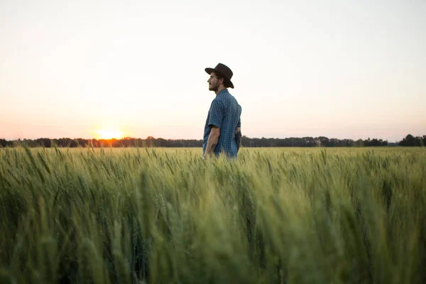 YOung male farmer stand alone in wheat field during sunset