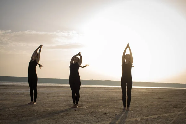 young women practicing yoga poses and asanas. Partner yoga, acrobatic yoga. Yoga class in black wear training in desert during sunset