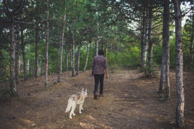 Genç hipster siyah kot pantolon deri çizmeler ve gömlek yürümek orman ile Sibirya husky köpek