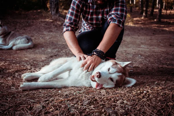 Junge Hipster Schwarzen Jeans Lederstiefeln Und Hemd Spazieren Wald Mit — Stockfoto