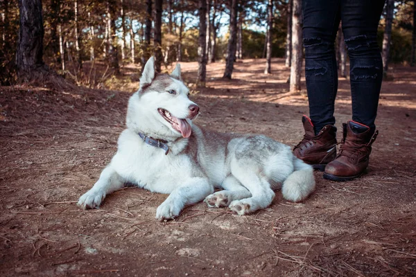 Junge Hipster Schwarzen Jeans Lederstiefeln Und Hemd Spazieren Wald Mit — Stockfoto