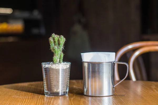 Nahaufnahme Bild Von Sukkulenten Stehen Auf Dem Tisch Café Innendekoration — Stockfoto