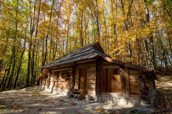 Old Wooden House Beautiful Autumn Forest — Stock Photo, Image