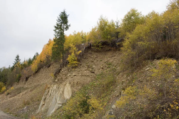 Landschaft Der Karpaten Der Ukraine Herbstliche Natur Der Wälder Und — Stockfoto