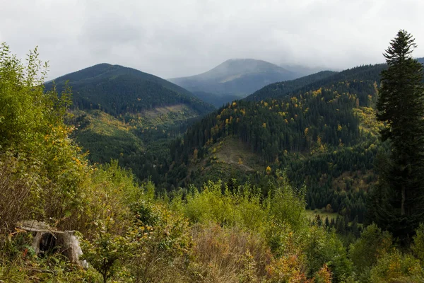 Landschaft Der Karpaten Der Ukraine Herbstliche Natur Der Wälder Und — Stockfoto