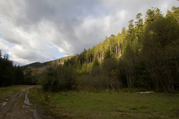 Landschaft Der Karpaten Der Ukraine Herbstliche Natur Der Wälder Und — Stockfoto