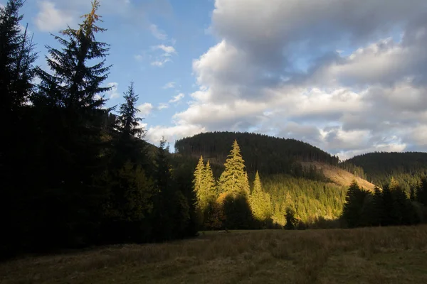 Landschaft Der Karpaten Der Ukraine Herbstliche Natur Der Wälder Und — Stockfoto