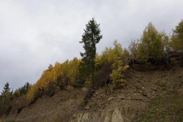 Landschaft Der Karpaten Der Ukraine Herbstliche Natur Der Wälder Und — Stockfoto