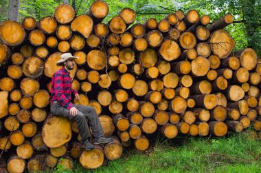 Oduncu ormandaki çam arka plan üzerinde birçok büyük günlükleri portresi. Çam ormanı içinde sawmeal yakın poz genç erkek uzun yürüyüşe çıkan kimse.