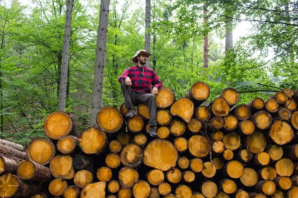 Porträtt Vedhuggare Skogen Många Stora Stockar Tall Bakgrund Unga Manliga — Stockfoto