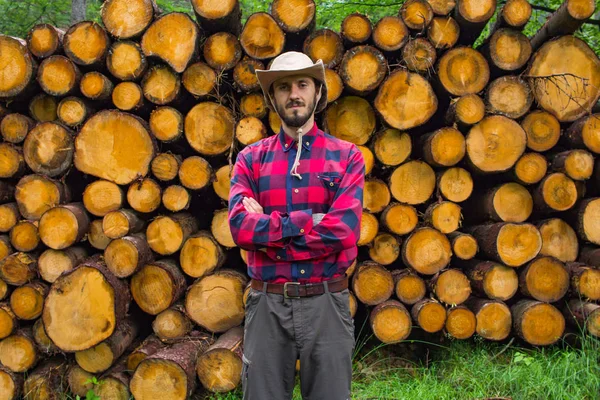 Portrait Bûcheron Forêt Beaucoup Gros Troncs Pin Sur Fond Jeune — Photo