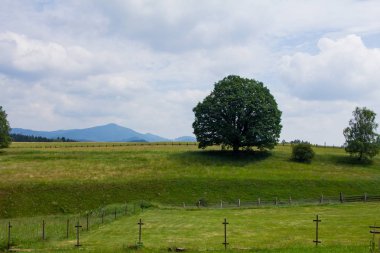 Dağlar, bahar alanları yeşil çim ve arka plan üzerinde dağ çayır ile manzara 