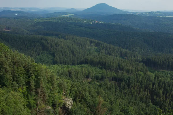 Landschaft Den Bergen Der Tschechischen Schweiz Nationalpark Kiefernwald Und Felsen — Stockfoto
