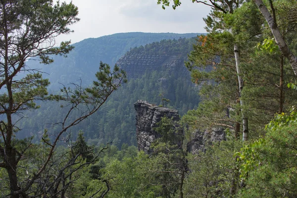 Krajobraz Górach Parku Narodowego Czeska Szwajcaria Sosnowego Lasu Skały — Zdjęcie stockowe