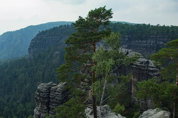 Paisaje Las Montañas Parque Nacional Suiza Checa Bosque Pinos Rocas — Foto de Stock