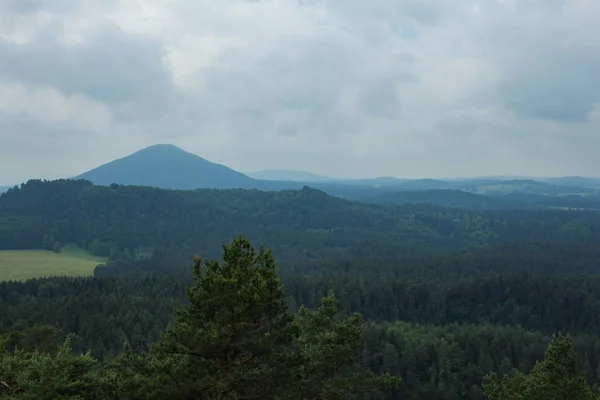 Landschaft Den Bergen Der Tschechischen Schweiz Nationalpark Kiefernwald Und Felsen — Stockfoto