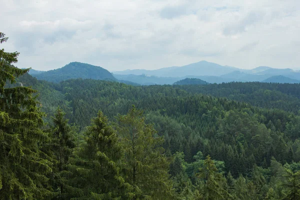 Paisaje Las Montañas Parque Nacional Suiza Checa Bosque Pinos Rocas — Foto de Stock