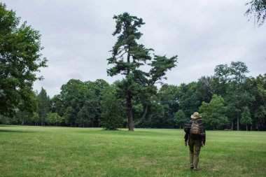 Genç kadın bahar çayır, dağ ve orman arka plan üzerinde hiking