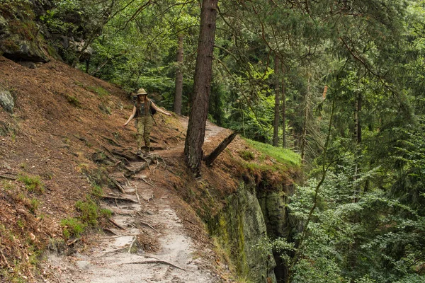 年轻的妇女徒步旅行单独在森林和山与背包 — 图库照片