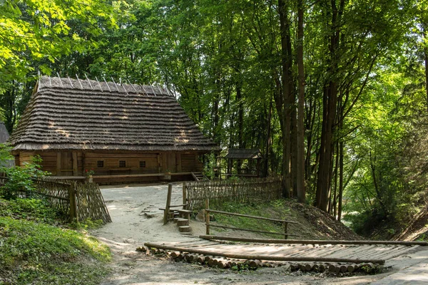 Old wooden house in summer forest, ukrainian vintage architecture