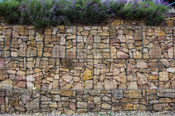Gabion Mur Avec Plands Décoration Extérieure — Photo