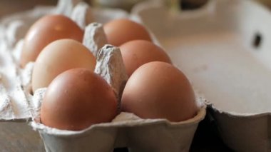 Tavuk yumurta kutusundaki Kapat