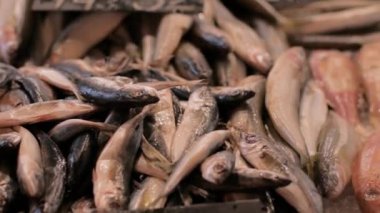 Çok taze balık pazarında yakın çekim