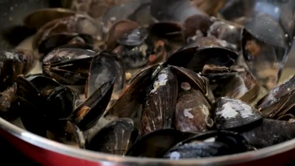 Memasak Kerang Laut Panci Menutup — Stok Video