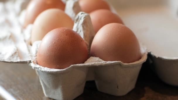 Primer Plano Huevos Gallina Caja — Vídeos de Stock